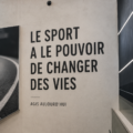 Un groupe de femmes s'entraînant ensemble dans un parc, montrant l'esprit communautaire du sport.