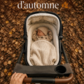 Maman et bébé profitant d'une promenade en automne, entourés de feuilles dorées.