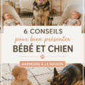 Un bébé assis à côté d'un chien attentif dans un cadre chaleureux