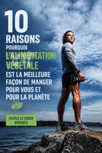 Un plat coloré riche en légumes et graines, représentant une alimentation végétale saine.